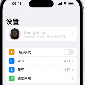 毛道乡appleID维修服务iPhone设置中Apple ID显示为灰色无法使用 