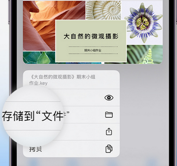 毛道乡apple维修中心分享iPhone文件应用中存储和找到下载文件