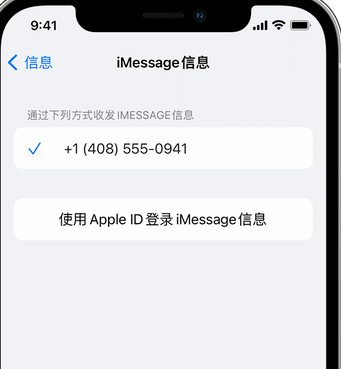 毛道乡apple维修iPhone上无法正常发送iMessage信息