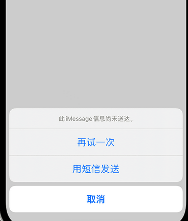 毛道乡apple维修iPhone上无法正常发送iMessage信息