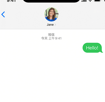 毛道乡apple维修iPhone上无法正常发送iMessage信息