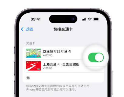 毛道乡apple维修点分享iPhone上更换Apple Pay快捷交通卡手绘卡面 