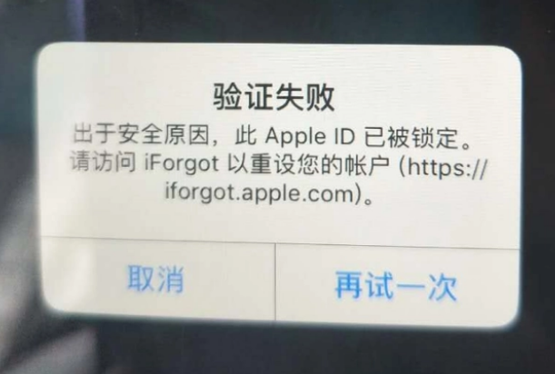 毛道乡iPhone维修分享iPhone上正常登录或使用AppleID怎么办 