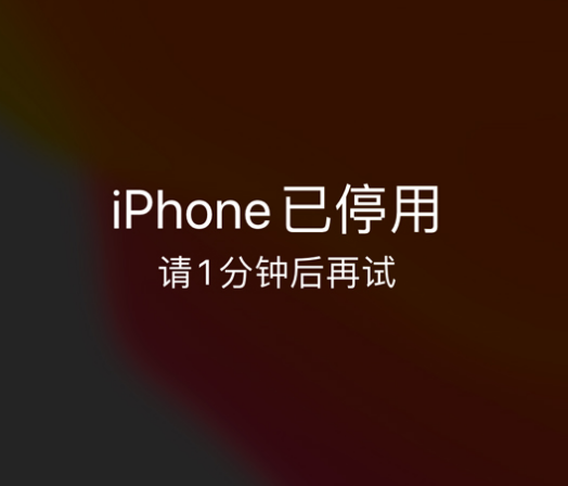 毛道乡苹果手机维修分享:iPhone 显示“不可用”或“已停用”怎么办？还能保留数据吗？ 