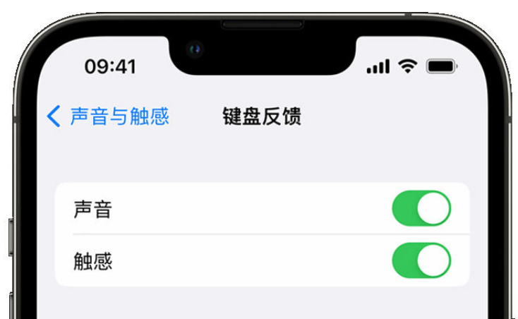 毛道乡苹果手机维修分享iPhone 14触感键盘使用方法 