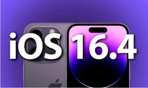 毛道乡苹果14维修分享：iPhone14可以升级iOS16.4beta2吗？ 