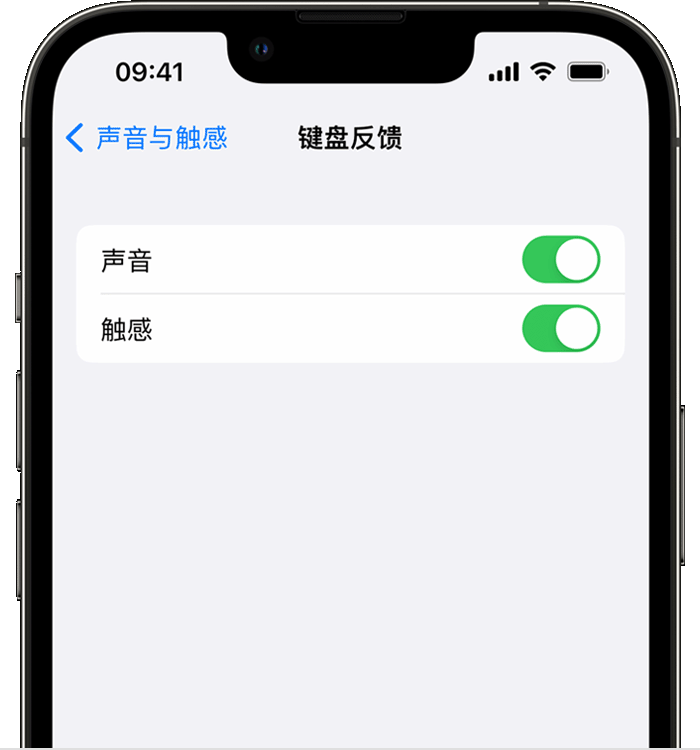 毛道乡苹果14维修店分享如何在 iPhone 14 机型中使用触感键盘 