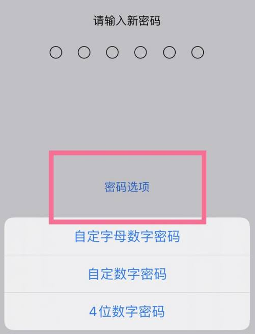 毛道乡苹果14维修分享iPhone 14plus设置密码的方法 