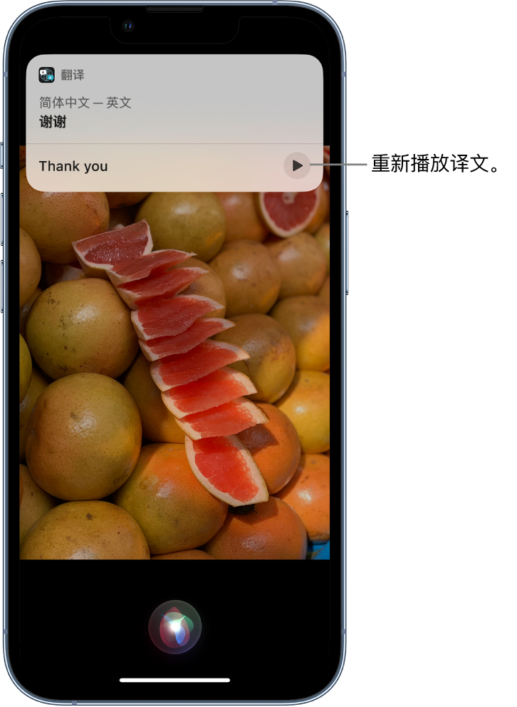 毛道乡苹果14维修分享 iPhone 14 机型中使用 Siri：了解 Siri 能帮你做什么 