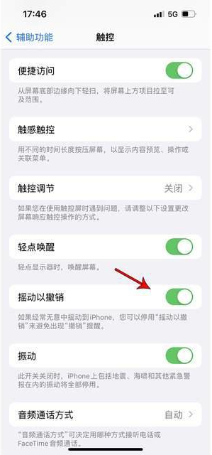 毛道乡苹果手机维修分享iPhone手机如何设置摇一摇删除文字 