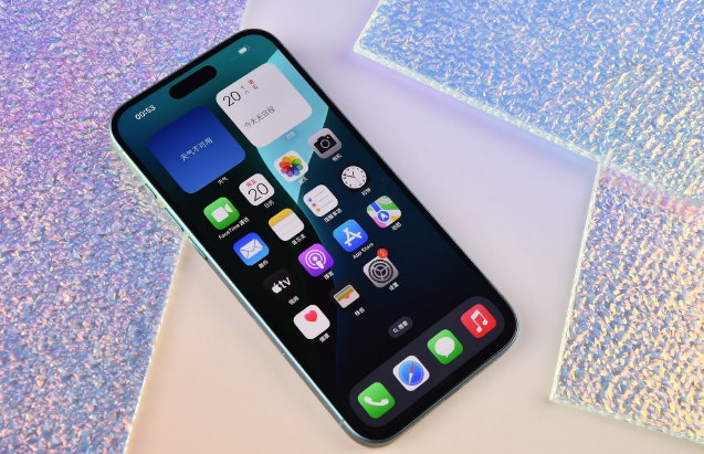 毛道乡苹果手机维修分享为什么大家不喜欢苹果iPhone 16 Plus 